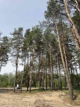 продажа участок под жилую застройку Новомосковский, Песчанка, 25000 $ 