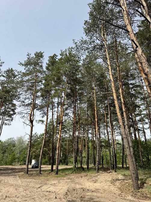 продажа участок под жилую застройку Новомосковский, Песчанка, 25000 $  - изображение 5