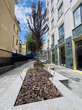 долгосрочная аренда 1-к квартира Киев, Голосеевский, 43500 грн./мес. Киев