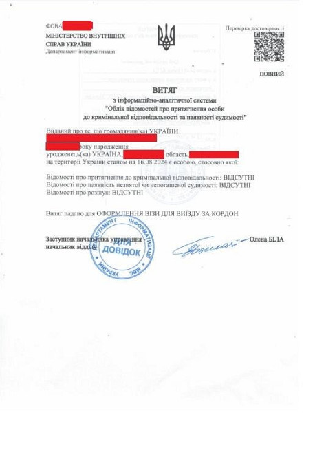 Перекладу, апостиль, витяг про несудимість, витребування документів Миколаїв - зображення 1