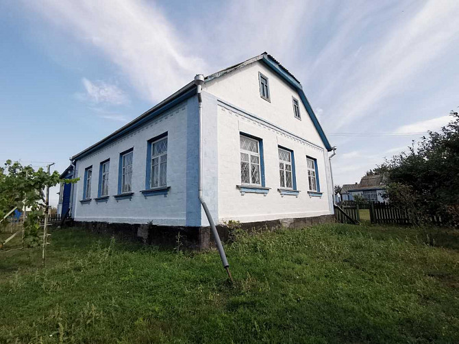 продажа 3-к дом Васильковский, Гребенки, 21000 $  - изображение 3