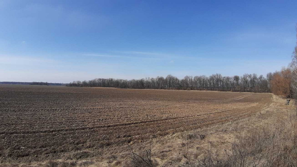 продажа земля сельскохозяйственного назначения Бориспольский, Сеньковка, 218540 грн.  - зображення 1