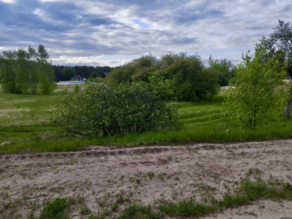 продажа земля сельскохозяйственного назначения Вышгородский, Жукин, 15400 $  - изображение 4