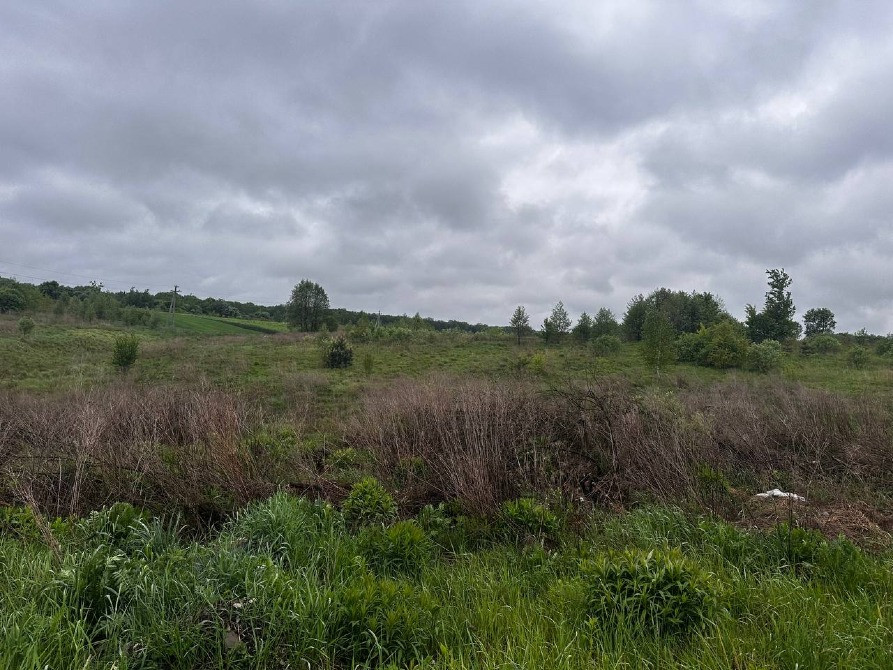 Продаж землі Зубра 12сот осг бічна Лесі Українки Львів - зображення 6