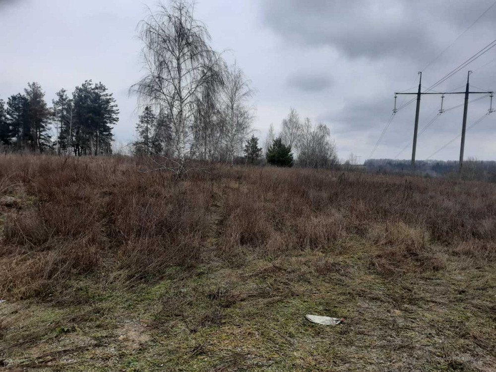 продажа земля сельскохозяйственного назначения Васильковский, Рославичи, 324600 грн.  - изображение 3