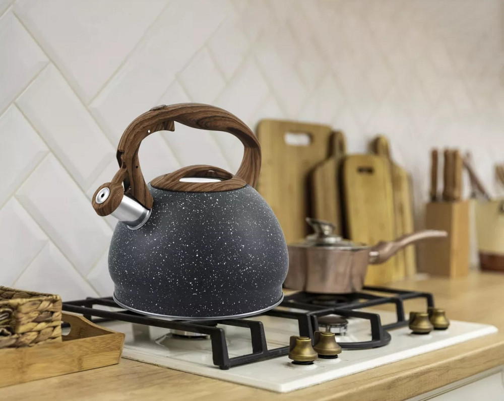 Чайник із свистком Gusto Пірат GT-1411-30 3 л Киев - изображение 1