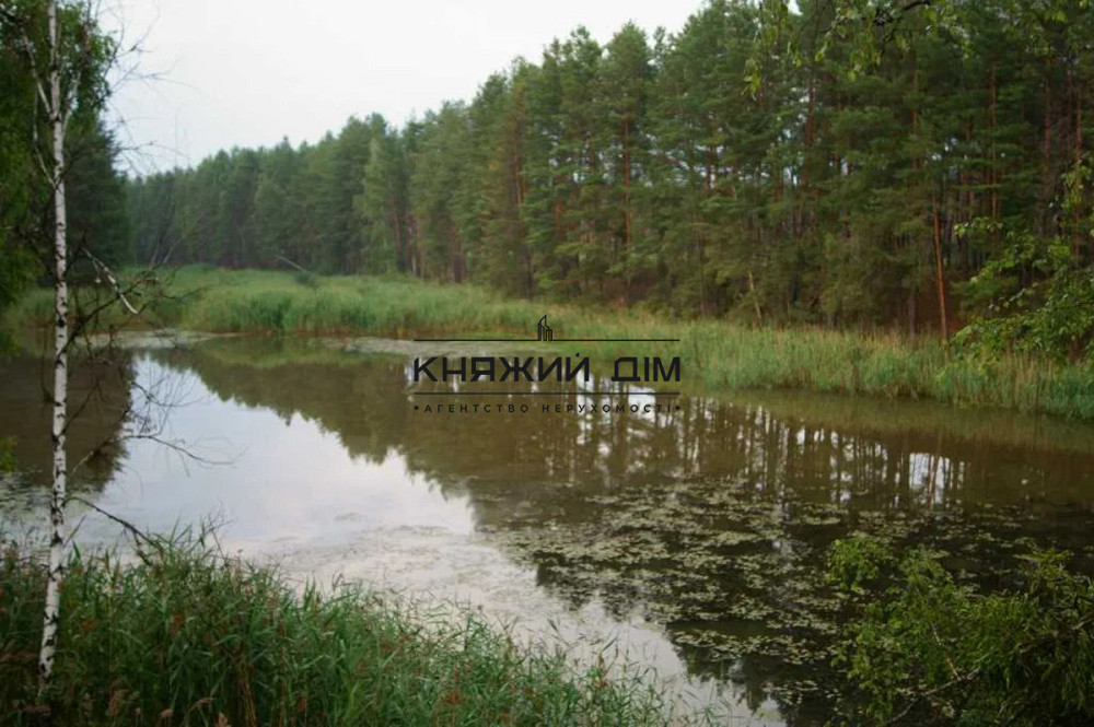 Продається будинок в Ровжах № 2211789 Київ - зображення 6