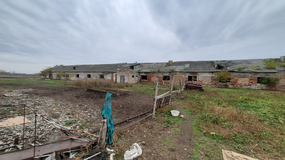 Продається приміщення Ферма Белая Церковь - изображение 4