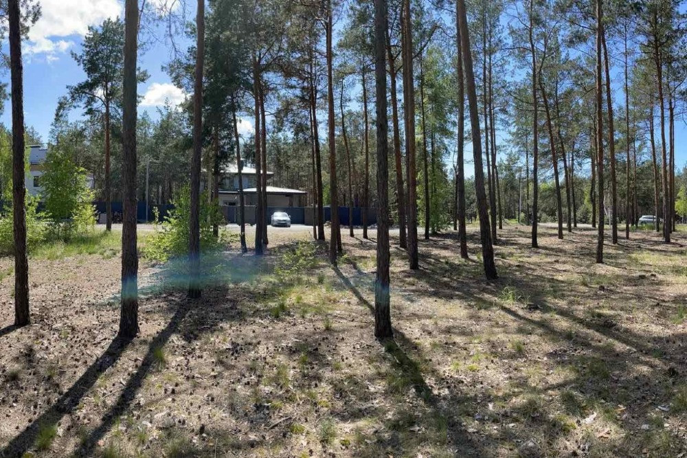 Ділянка під будівництво 34 сотки з лісом Вишгород - зображення 2