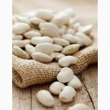 Посівна квасоля. Насіння білої дрібної квасолі Одеса - зображення 1