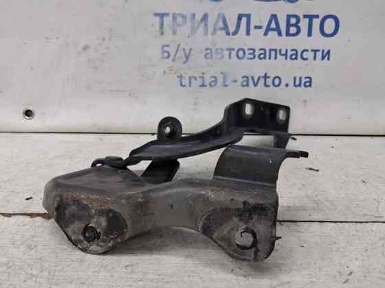 Петля капота левая Chevrolet Captiva C140 2.2 DIESEL Z22D1 2006 (б/у) Киев