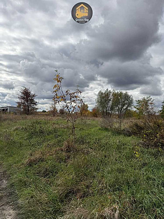 продажа земля сельскохозяйственного назначения Бориспольский, Иванков, 2400 $ Іванків - зображення 6