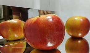 Дзеркальні композитні панелі (Зеркальный композит) , Днепр. Днепр - изображение 12