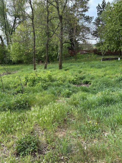 продажа участок под жилую застройку Васильковский, Васильков, 15000 $ Васильков - изображение 7