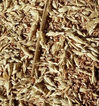 Покупаю отходы: зерновых, бобовых, масличных. Зерноотходы куплю. Чернигов - изображение 1
