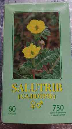 Салютриб капс. №60 Кропивницкий