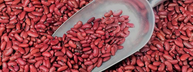 Квасоля різних сортів. Квасоля оптом від 5 тонн Вінниця - зображення 1