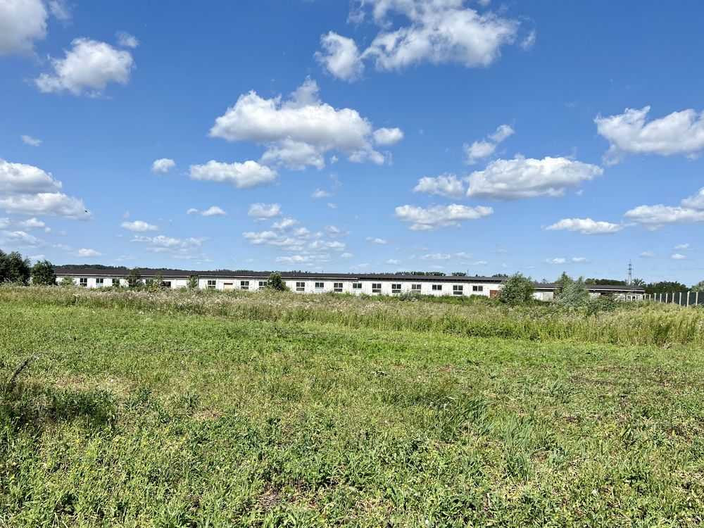 продажа земля сельскохозяйственного назначения Киево-Святошинский, Белогородка, 800000 $  - изображение 12