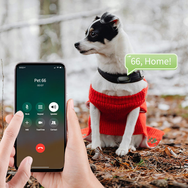 Трекер GPS для животных V53 Pet Tracker SIM (4GLTE) 900mAh Херсон - изображение 4