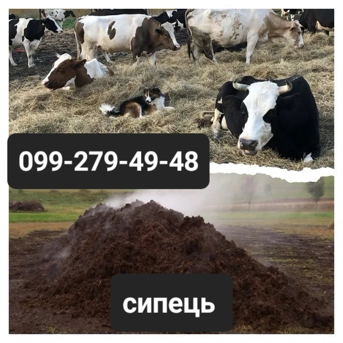 Сипец перегній компост чорнозем Одеса - зображення 2