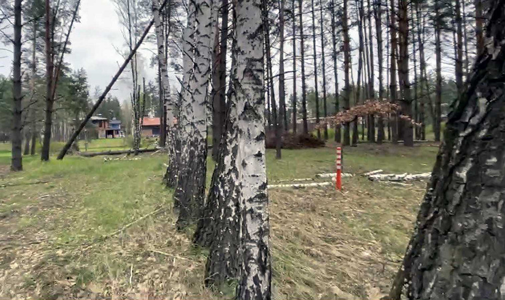 продажа участок под жилую застройку Вышгородский, Лебедевка, 250000 $  - зображення 1