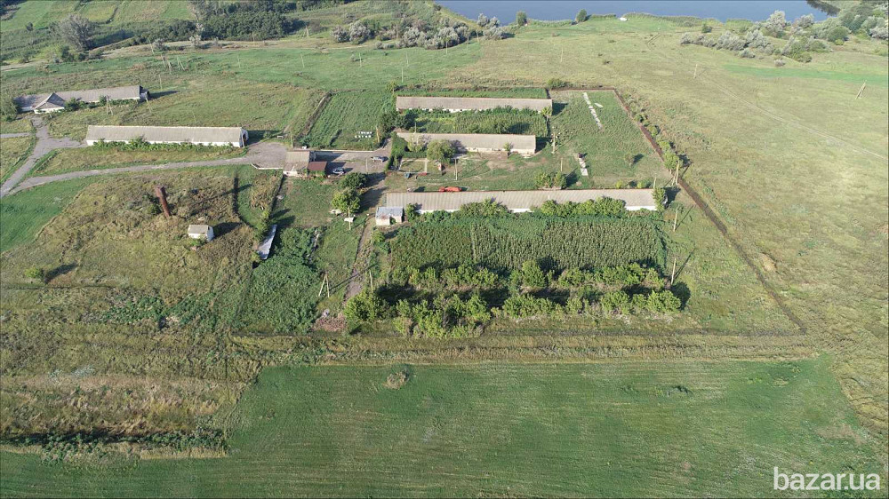 продажа помещения свободного назначения, здания Криничанский, Малософиевка, 200000 $  - зображення 5