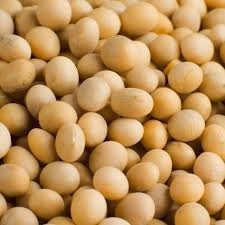 Закупка сої, оплата в будь-якій валюті Житомир - зображення 1