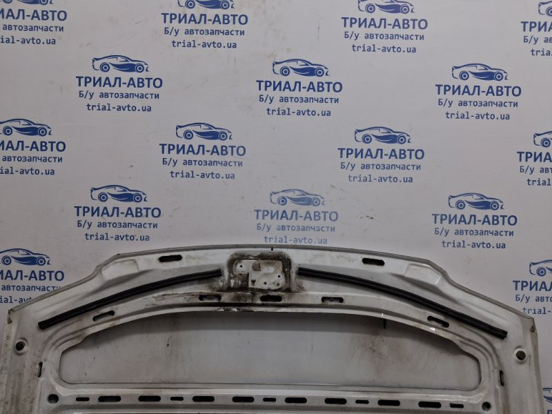 Капот Volkswagen Caddy 2K 1.9 DIESEL BJB 2003 (б/у) Київ - зображення 10