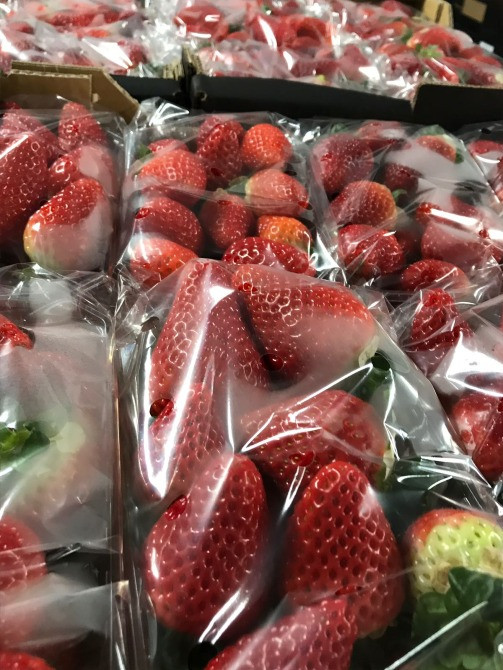 Продаем клубнику Киев - изображение 2