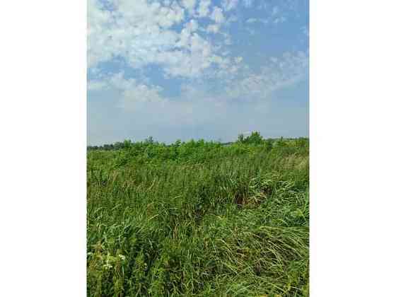 продажа земля сельскохозяйственного назначения Бородянский, Озера, 16265154 грн. 