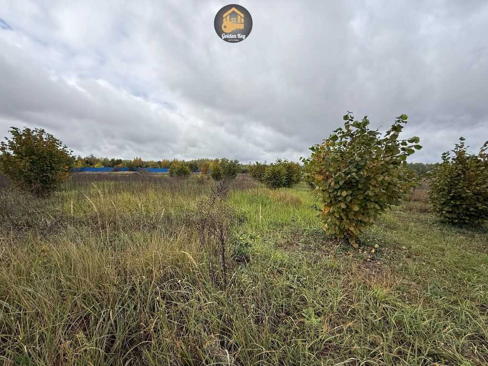 продажа земля сельскохозяйственного назначения Вышгородский, Ровы, 28000 $  - зображення 4