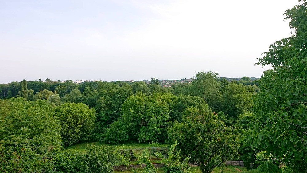 Будинок 2022 року з майже завершеним ремонтом на Лазаретній (Нижній ДНС). Белая Церковь - изображение 5