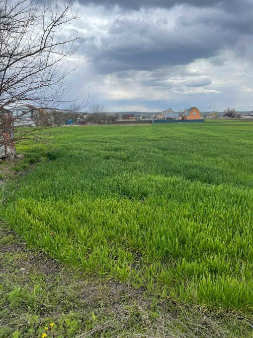 Продаж земельної ділянки в с. Томилівка (Білоцерківський район, Київська область) Пропонується до пр Біла Церква - зображення 2