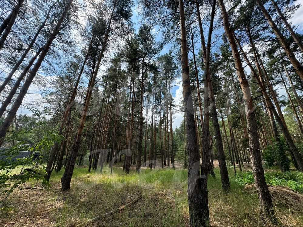 продажа участок под жилую застройку Бориспольский, Процев, 88000 $  - зображення 7