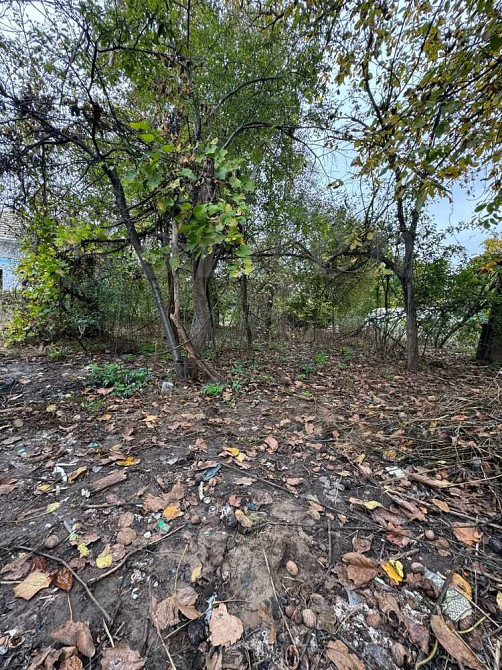 продажа земля сельскохозяйственного назначения Бориспольский, Чубинское, 18000 $  - зображення 11