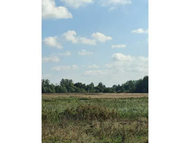 продажа земля сельскохозяйственного назначения Сквирский, Пищики, 92500 грн.  - изображение 6