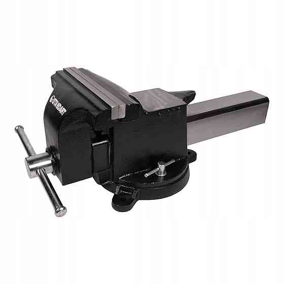 Тиски слесарные стальные усиленные профессиональные 8" STANDART TSSHD8SW Харків