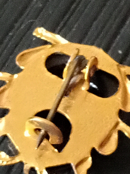 Старинная брошь Божья коровка Дніпро - зображення 3