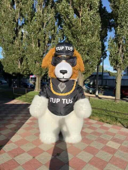 Ведмідь костюм Київ - зображення 2