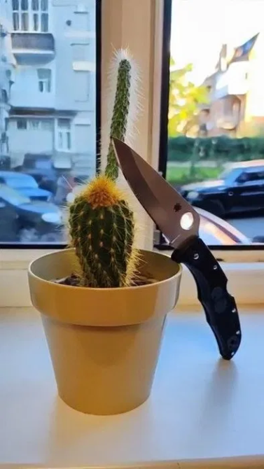 Ручне заточування ножів (кухонні, складані, мисливські) Київ - зображення 6