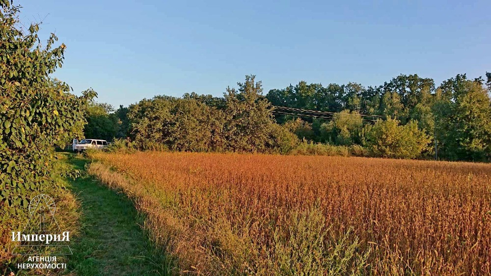 Півбудинку в Шамраівці.27 соток.Фундамент під новий будинок. Біла Церква - зображення 5