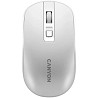 Мышь компьютерная безпроводная Canyon Wireless White CNS-CMSW18PW белая Київ