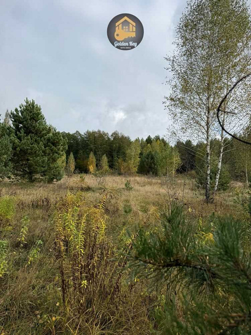 продажа земля сельскохозяйственного назначения Вышгородский, Ровы, 35000 $  - зображення 8