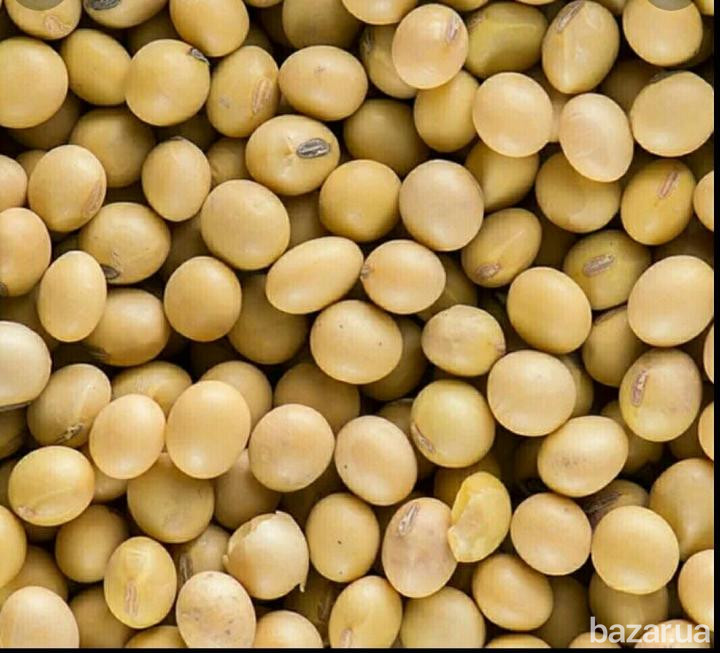 Куплю сою в любом количестве. Хмельницкий - изображение 1