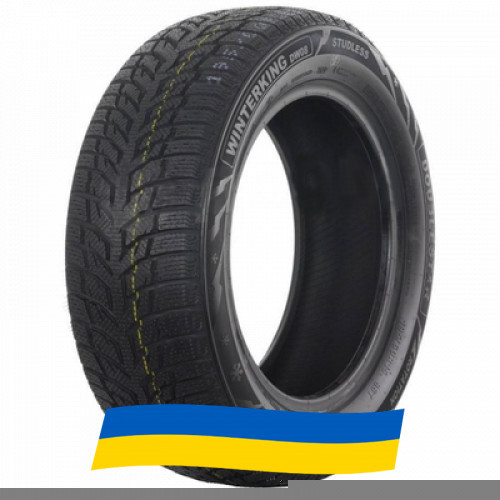 225/45 R18 Doublestar WINTERKING DW08 95H Легкова шина Київ - зображення 1