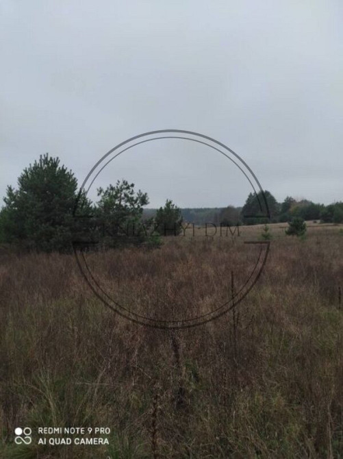 Продаж земельних ділянок, Коростишів, Житомирська обл. Київ - зображення 3