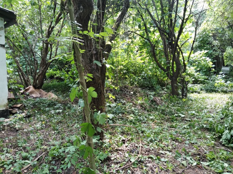 Дачна ділянка в Полтаві Полтава - изображение 2