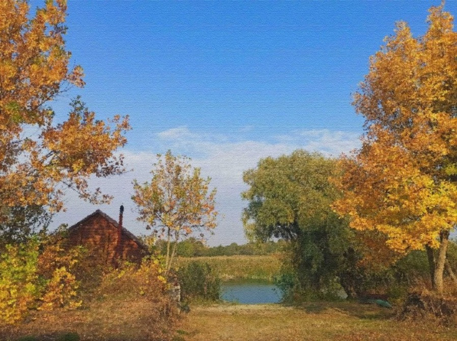 Унікальне місце на березі ріки Рось Будинок Гараж Баня вихід до води Богуслав - зображення 4