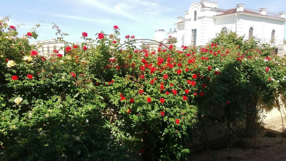 Предлагается на продажу дом в Лесниках 450 м2 и 15 соток с ландшафтным дизайном № 229517 Киев - изображение 3