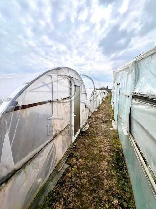 продажа 3-к дом Броварский, Русанов, 40000 $  - изображение 12